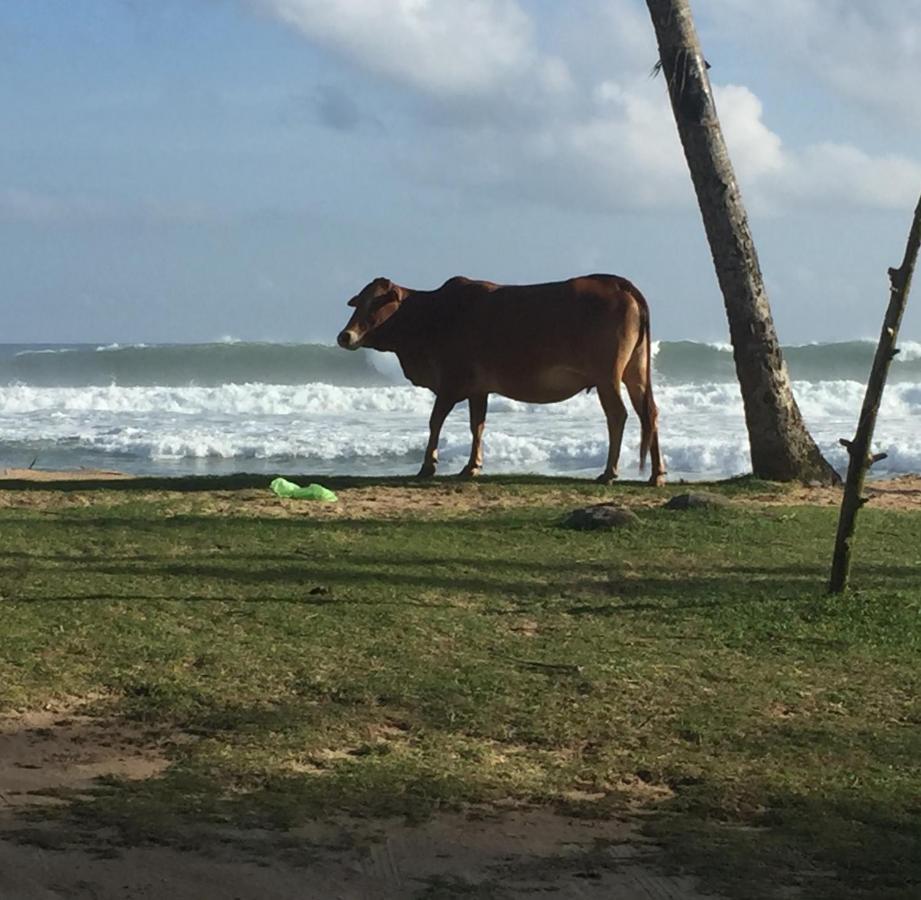 فندق Sundance Surf Coconut Point فيليغاما المظهر الخارجي الصورة